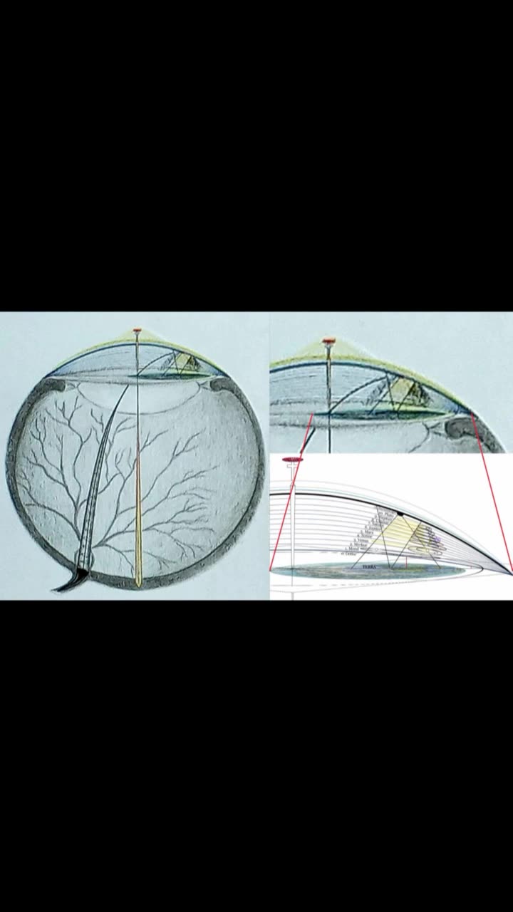 The toroidal field