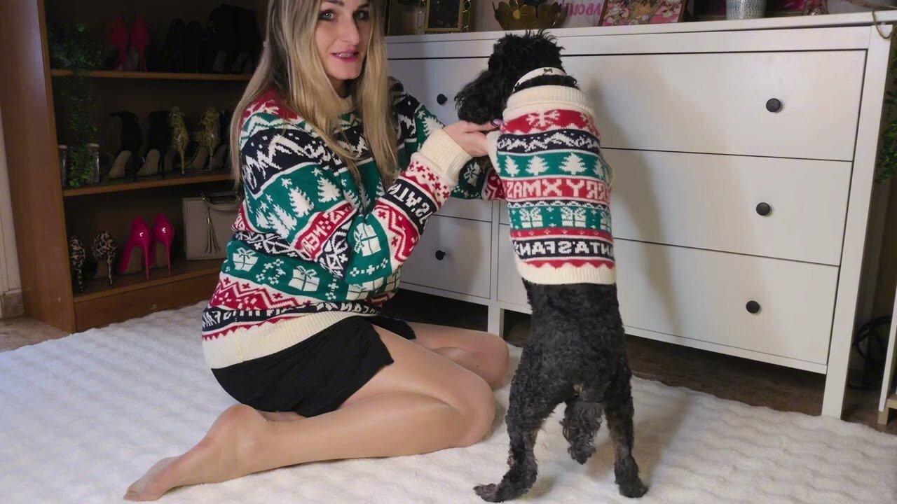 My doggies Christmas outfit | Winter Collection