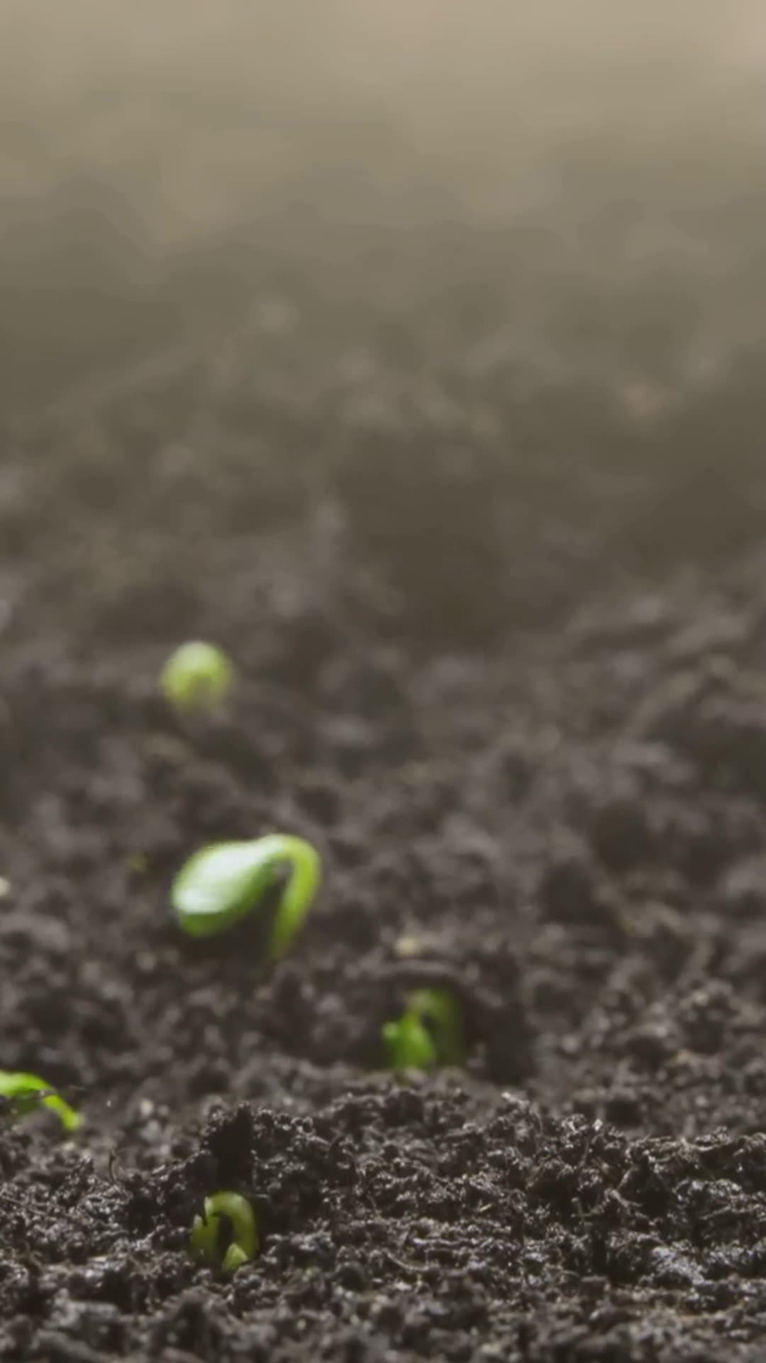 ¿Listo para tocar lo invisible? Descubre el éter y despierta tu potencial infinito.