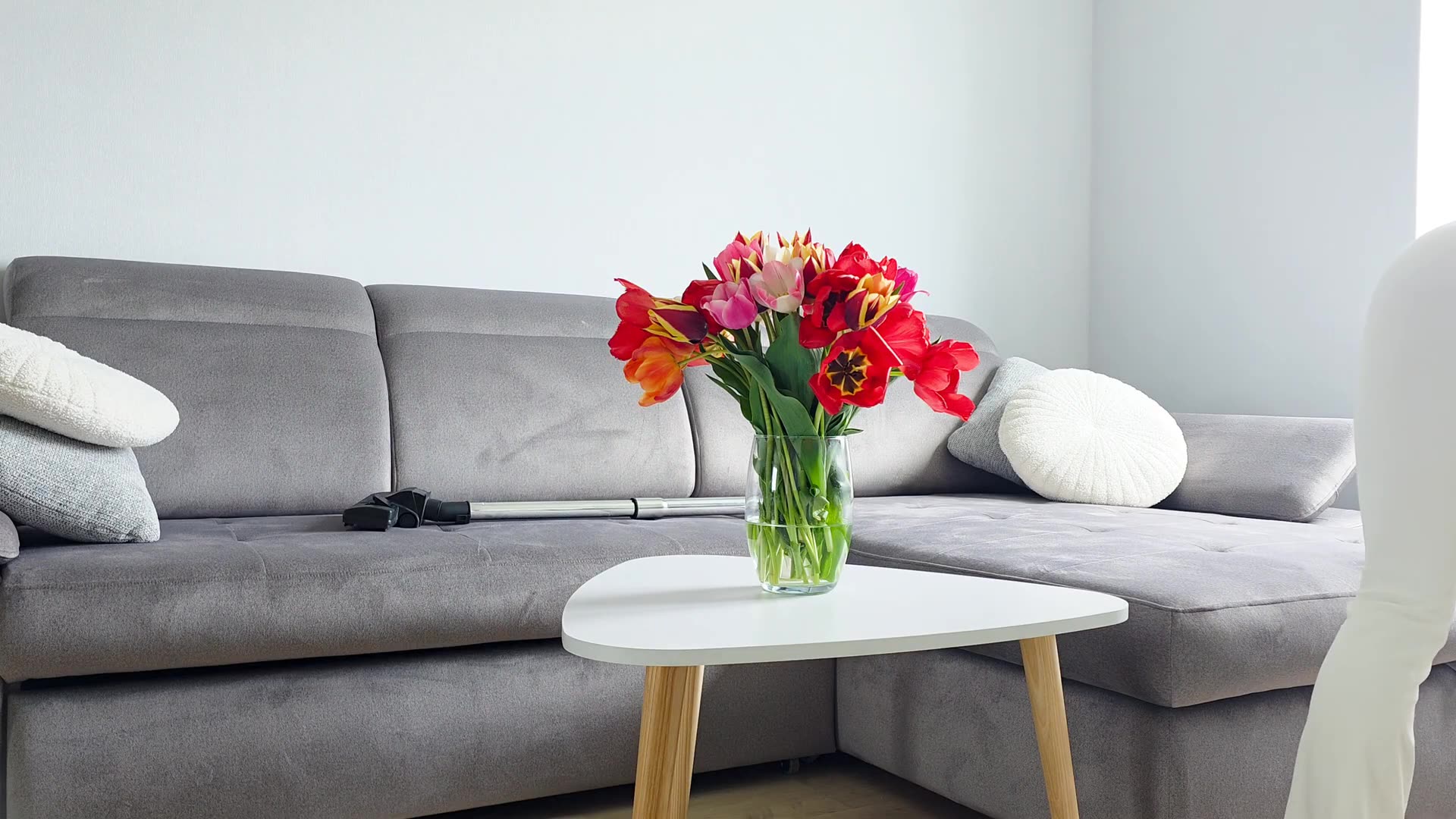 ASMR-Sofa-Cleaning-With-a-Vacuum-Cleaner_