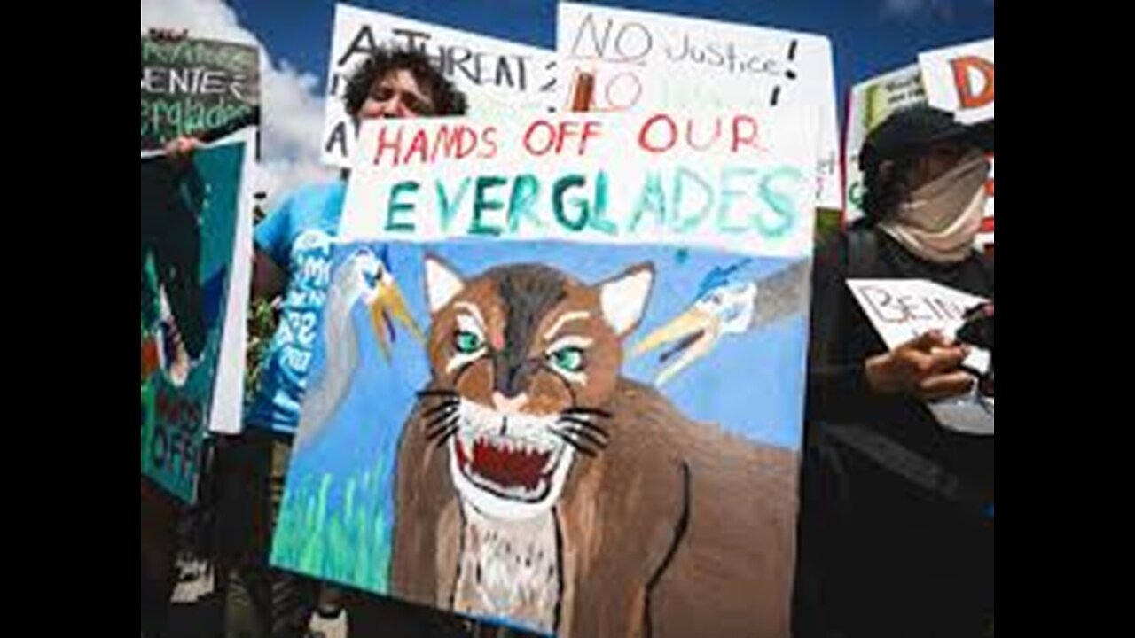 Alligator Alcatraz Detainees Decry Conditions