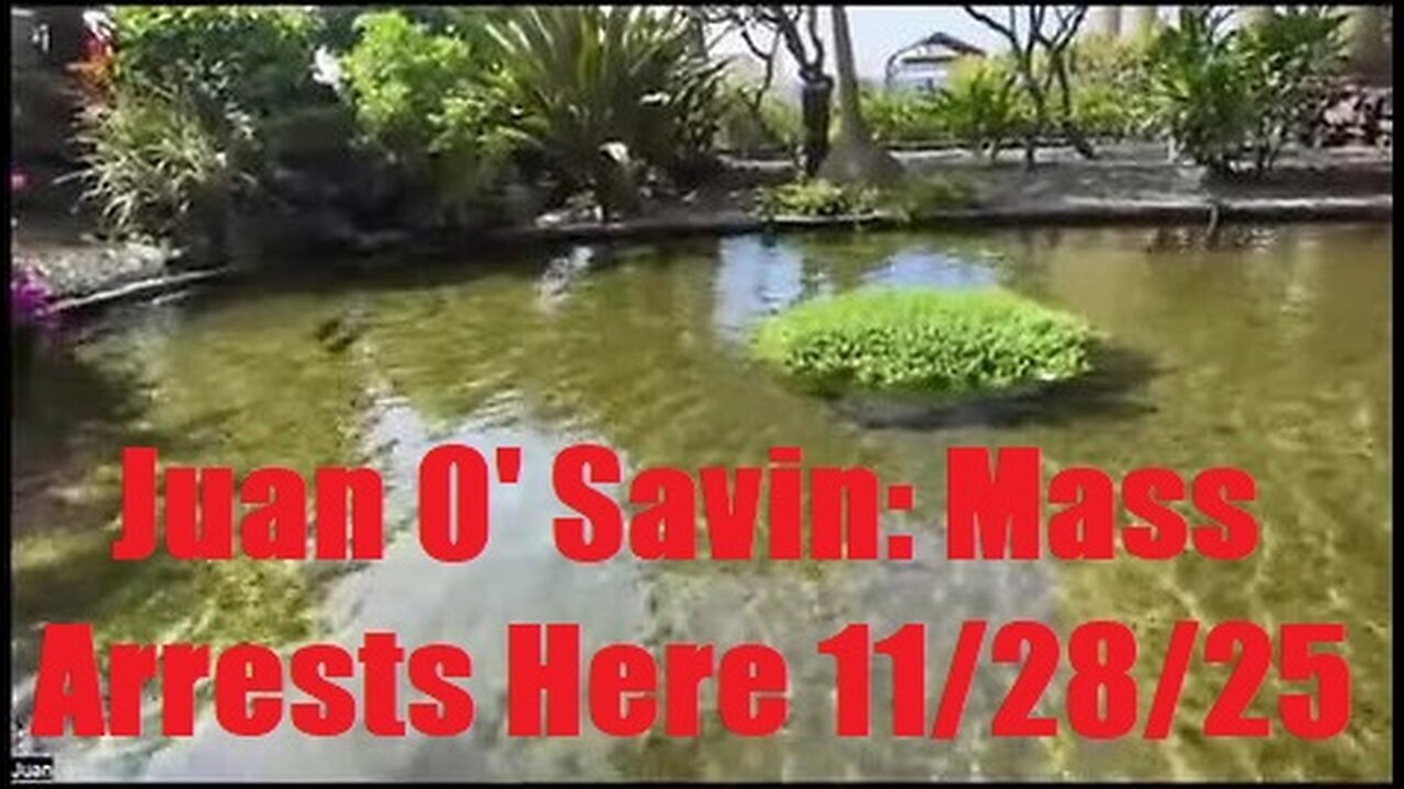 Juan O Savin: Mass Arrests Here 11/28/25 - Corrupt US Inc. Shut Down, SCOTUS Stripped of Power!