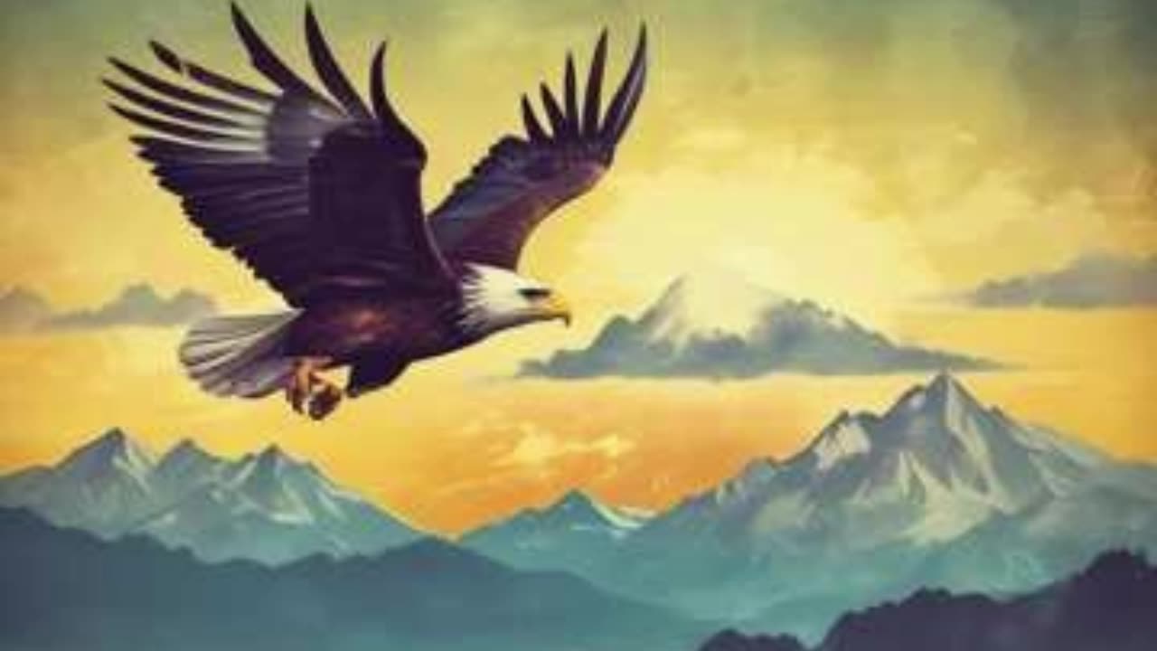 Free Forever