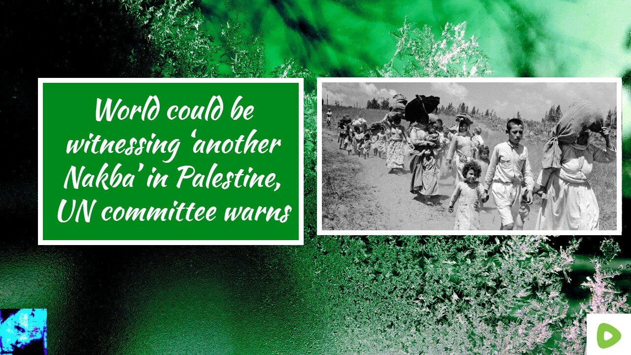 World could be witnessing ‘another Nakba’ in Palestine, UN committee warns