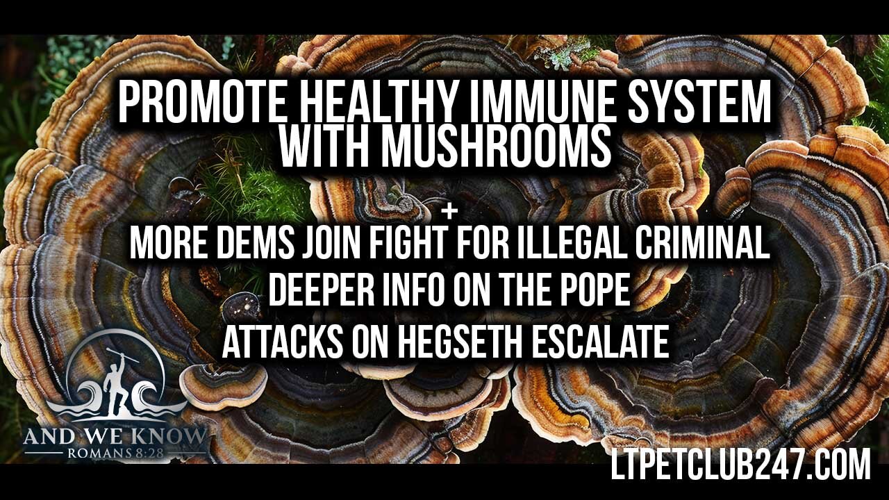 4.22.25: Pain/Sleep Apnea testimony, DEMS love for Illegals-not America, Hegseth, Pope, PRAY!