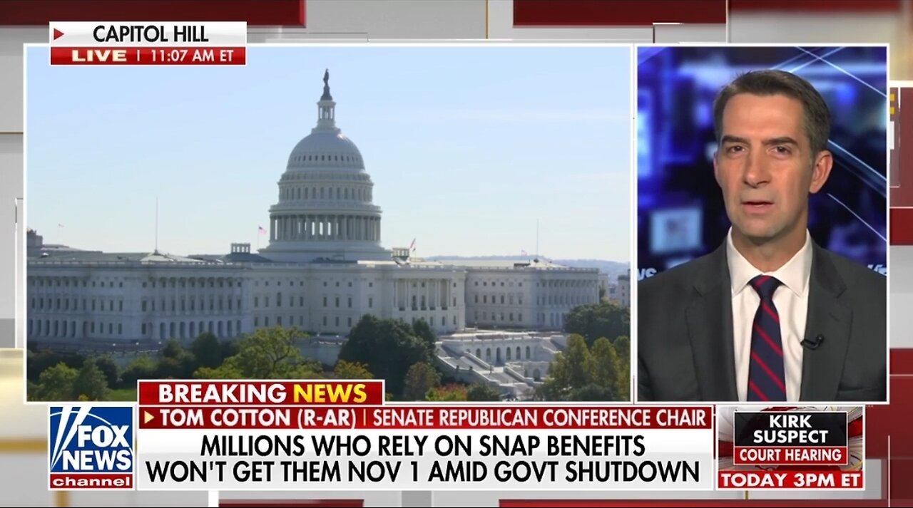 Sen Tom Cotton: Americans Know Dems Are RAGING Against Trump and His Supporters