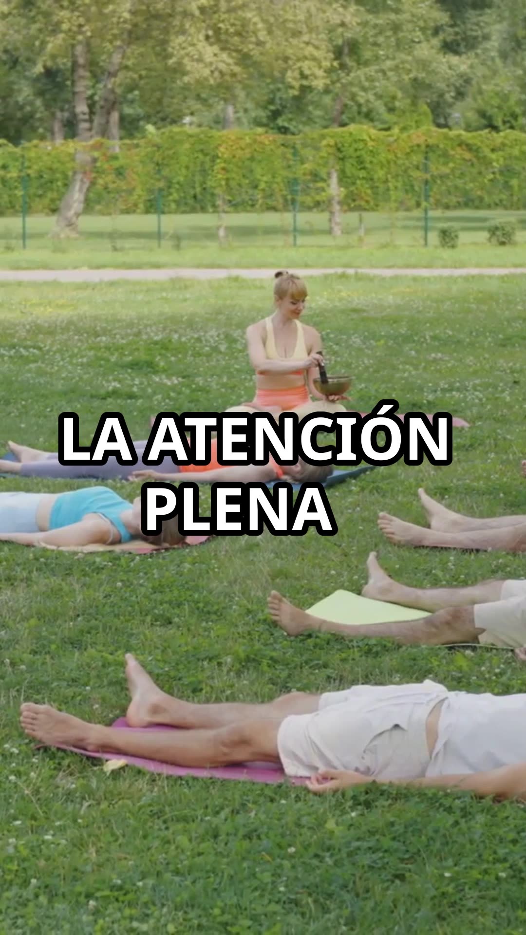 ¿Listo para hackear tu mente y activar el “tercer ojo”? Despierta tu pineal y conquista tu realidad.