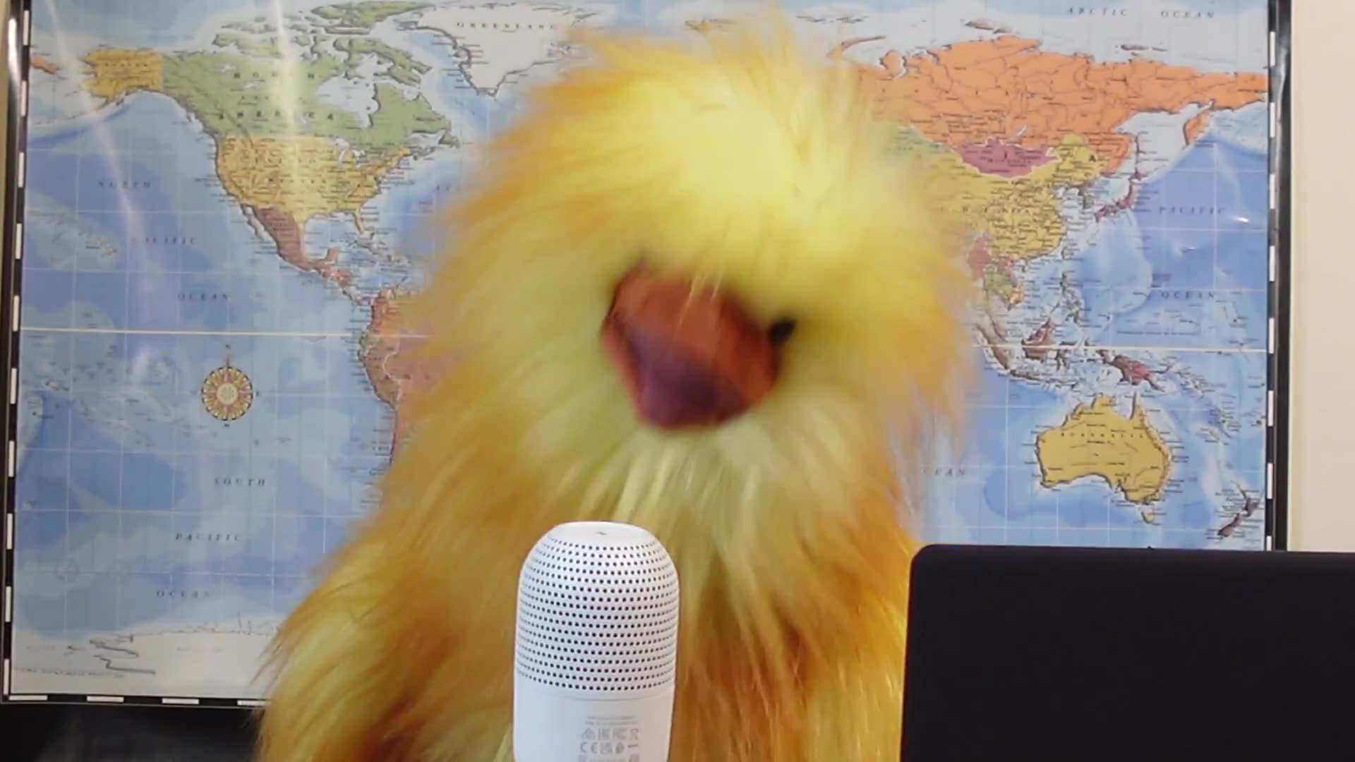 Henrietta Promises Bombshell report On Her First Foray into International News....