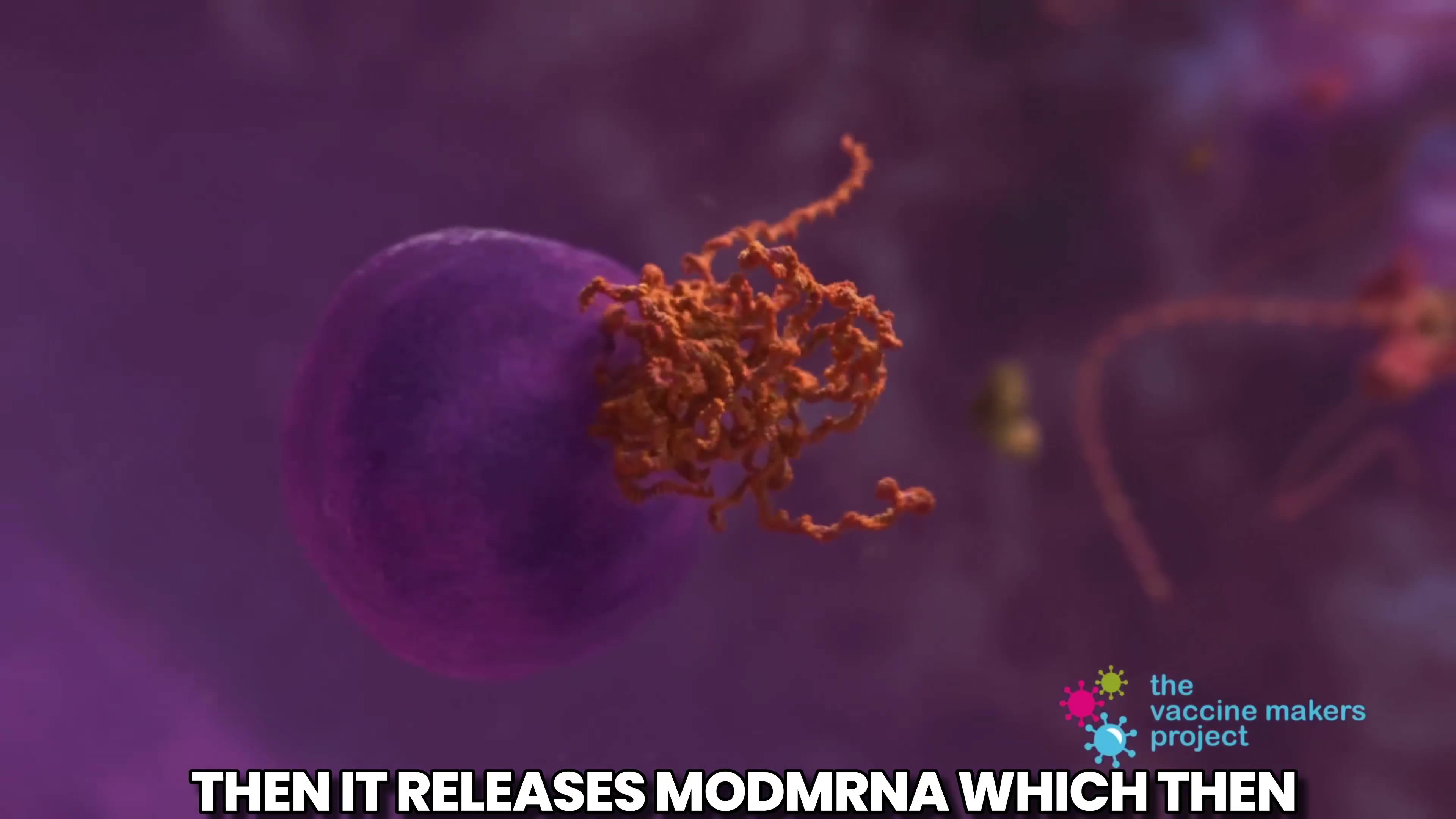 📌COVID-19 mRNA vaccines are NOT vaccines 👇