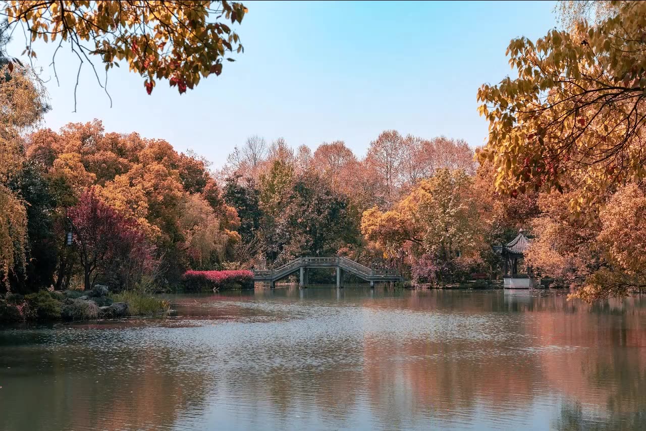 Vivaldi Autumn