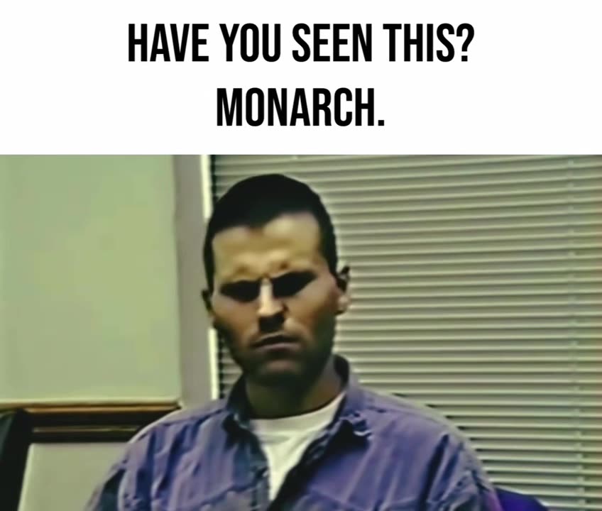 A Victim of MKUltra Monarch Programming