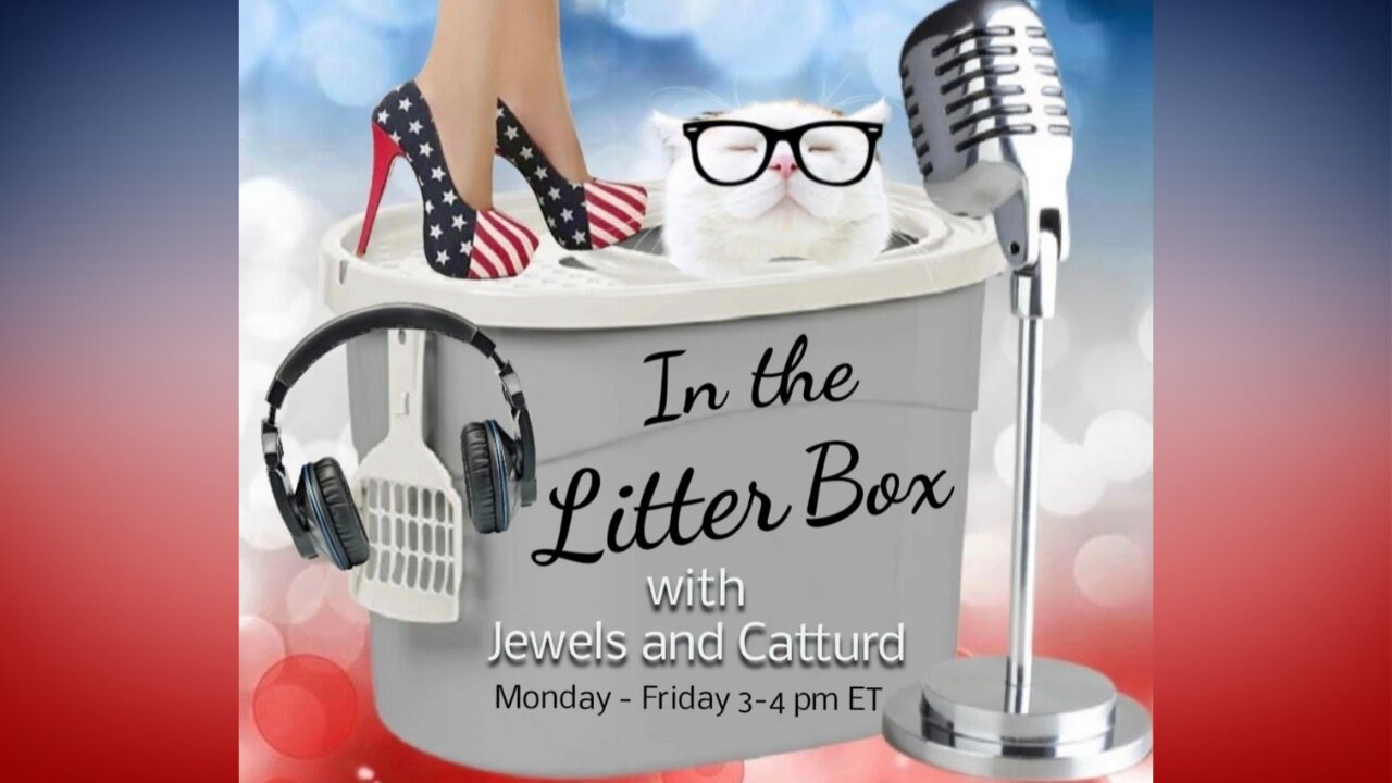TRUMP'S TARIFFS | In the Litter Box w/ Jewels & Catturd – Ep. 771 – 3/27/2025