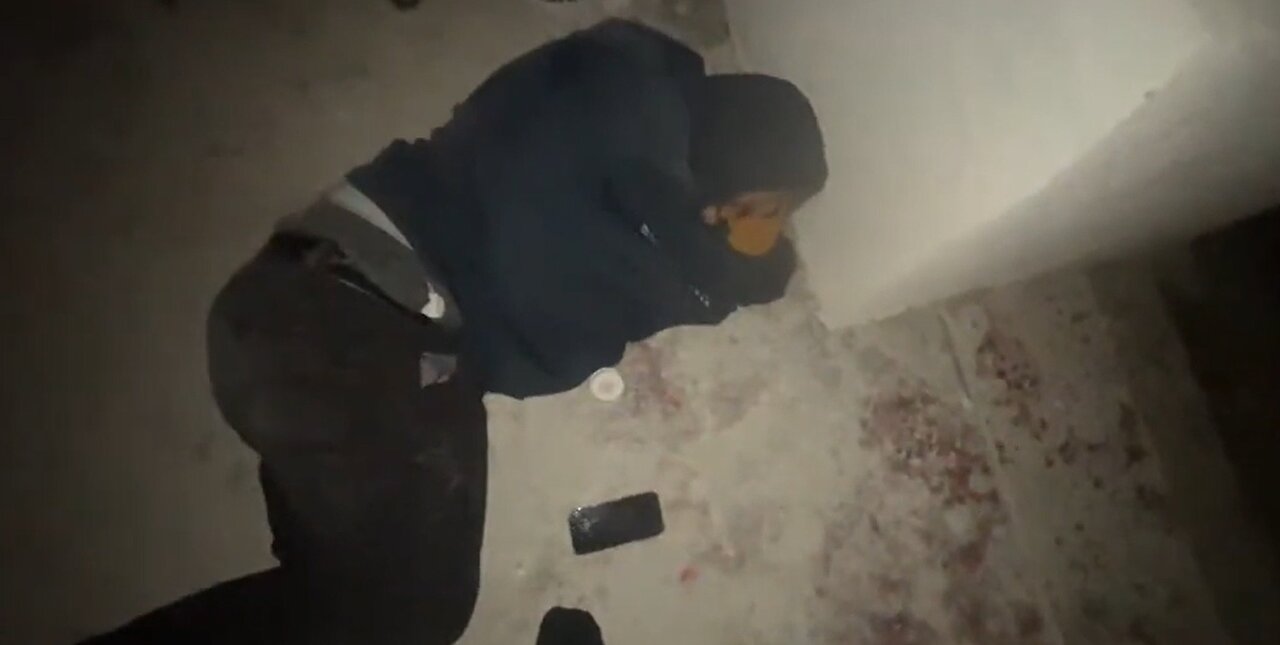 IP2 Stories - Coke Sleeping On Porch! Tokyo Trump Roasts Coke Puts Him in Shed