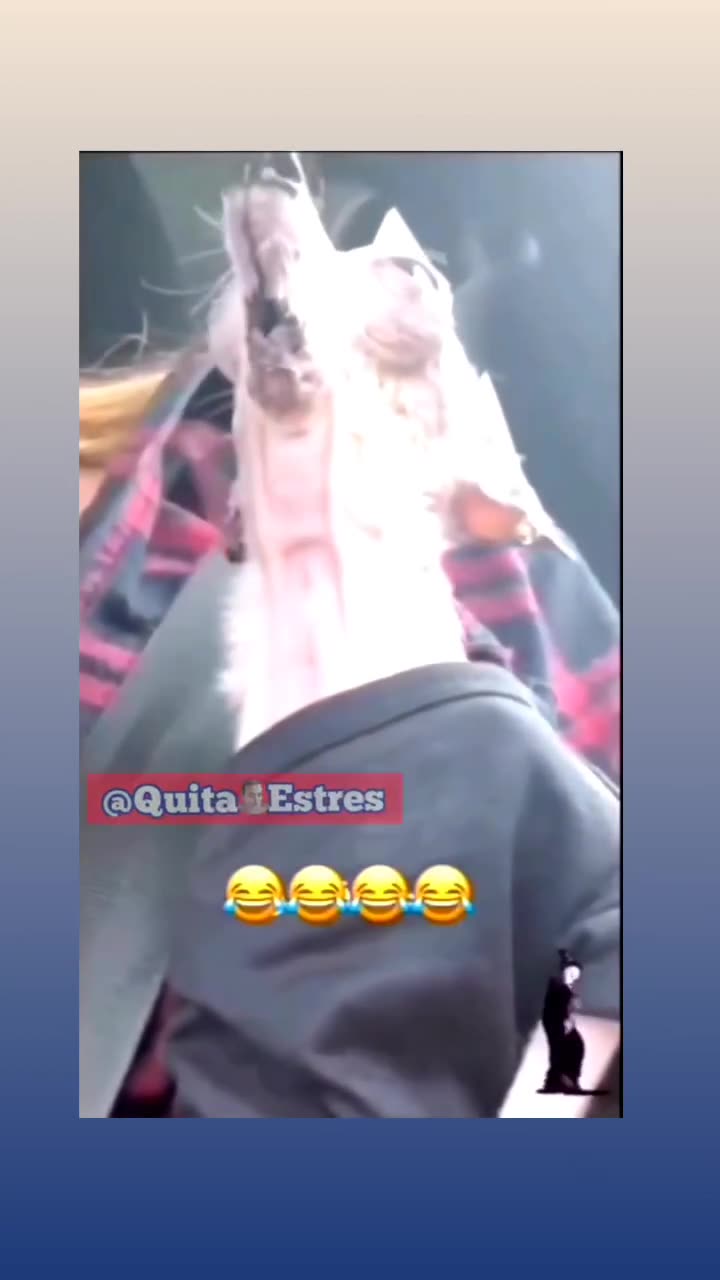 Dat hurts