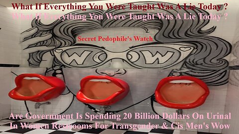 Are Government Is Spending 20 Billion Dollars On Urinal In Women Restrooms 4 Transgender Men's