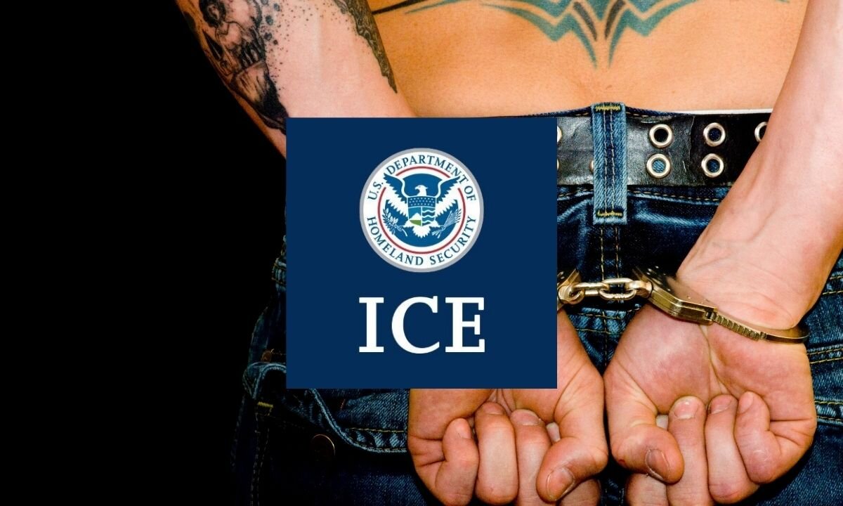 Democratic Rep. Tries to Silence Witness Accusing Party of Fueling Violence Against ICE
