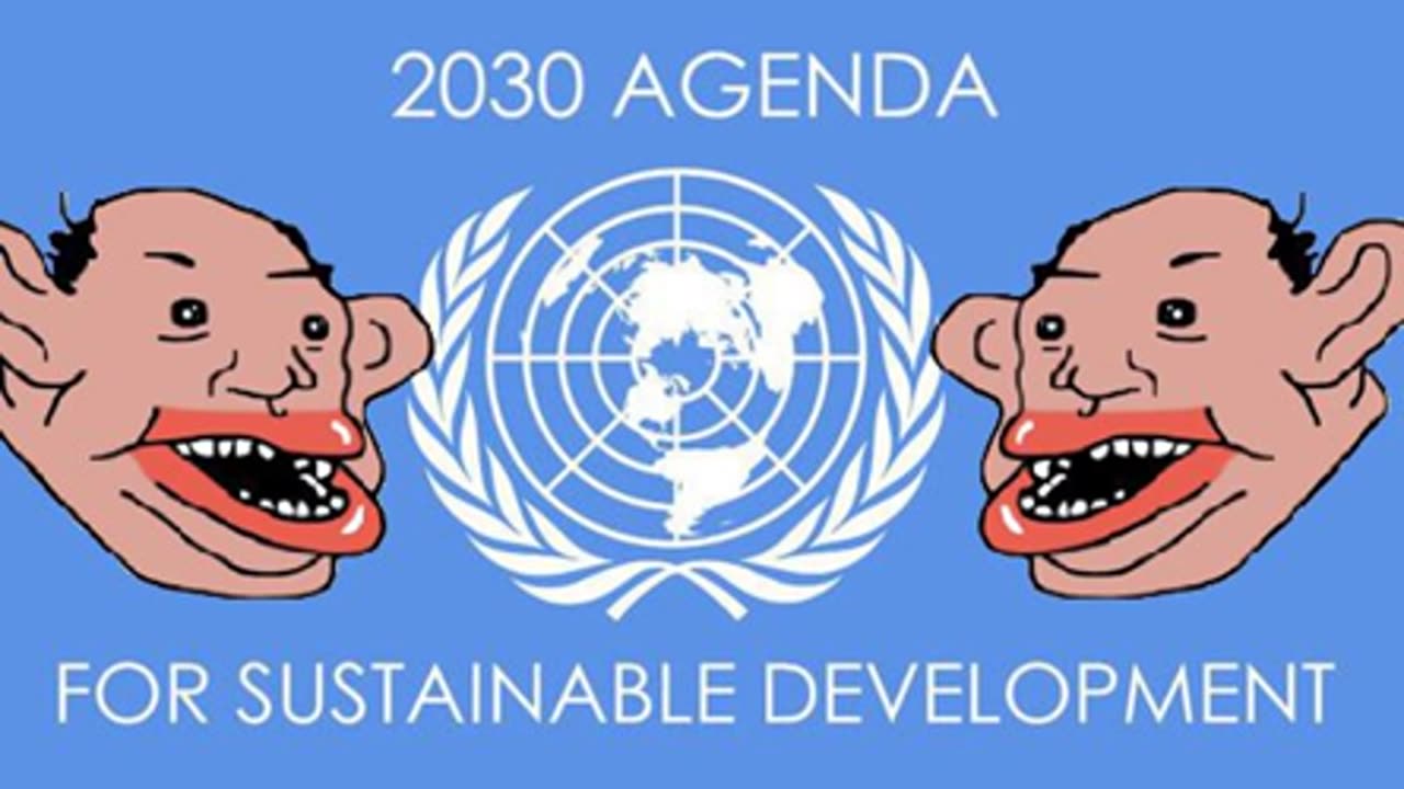 UN AGENDA 2030 AUDIO BOOK - KNOW THEIR PLAN