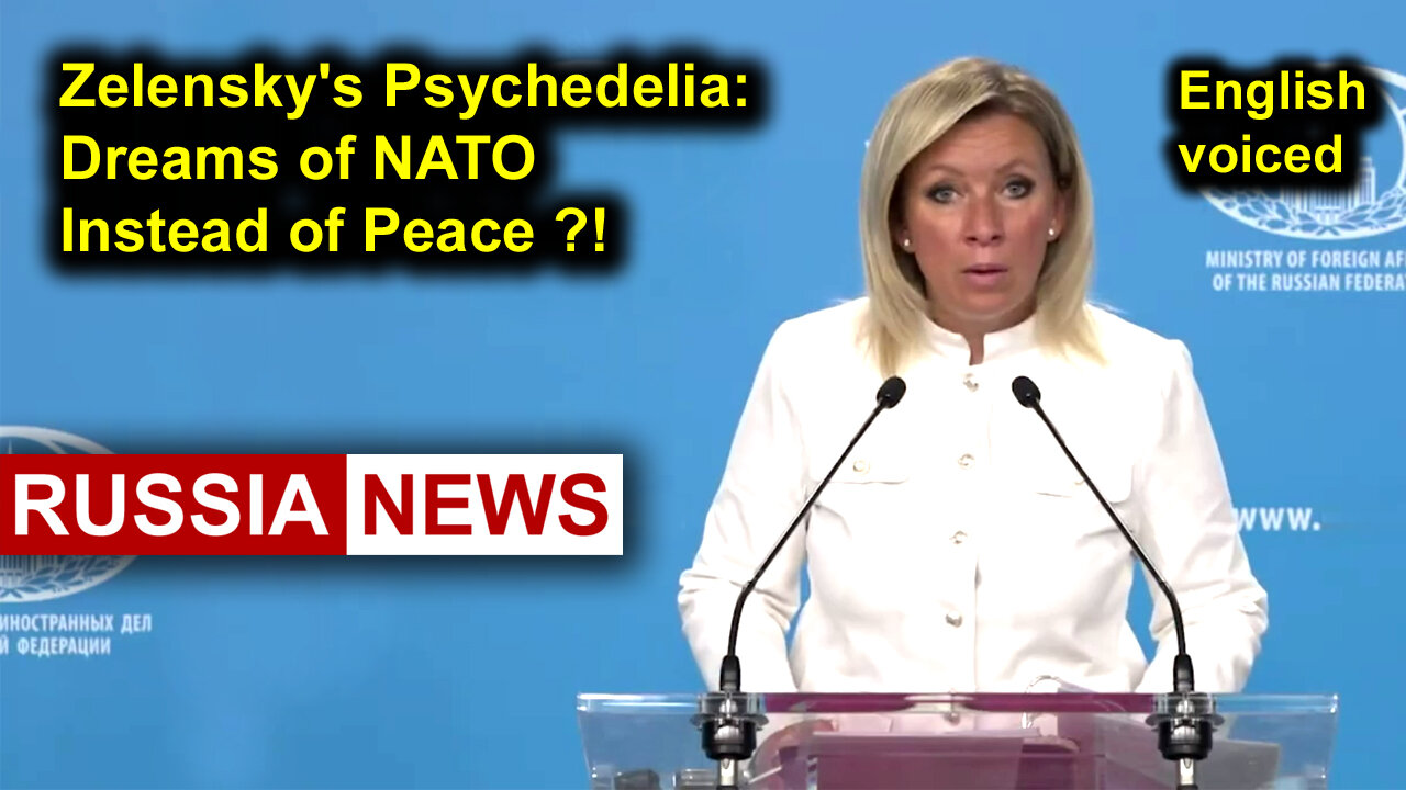 Zelenskys Psychedelia: Dreams of NATO Instead of Peace?!