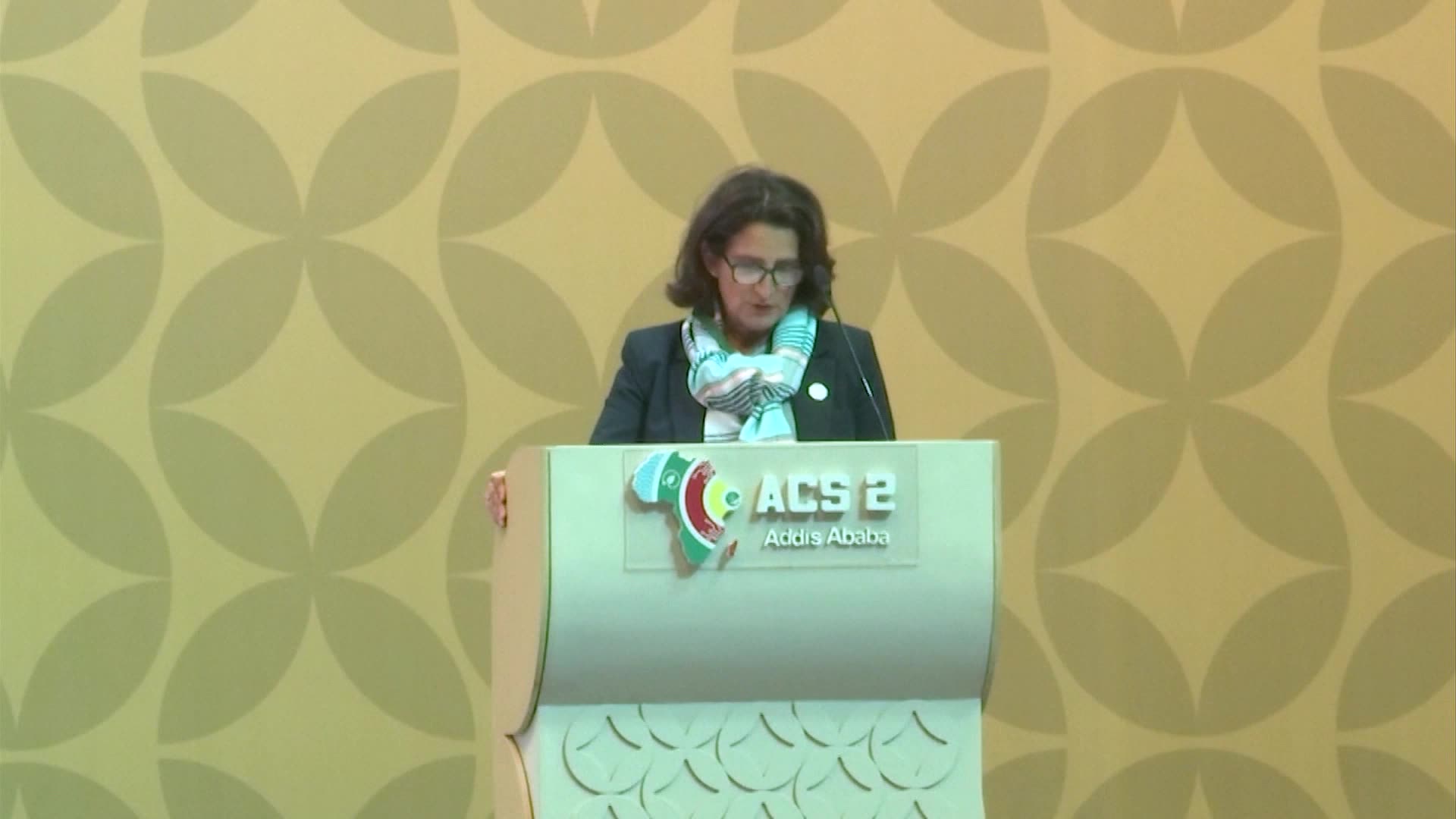 EU-Africa Climate Partnership: Teresa Ribera at ACS2 | Europe Politics | Amaravati Today