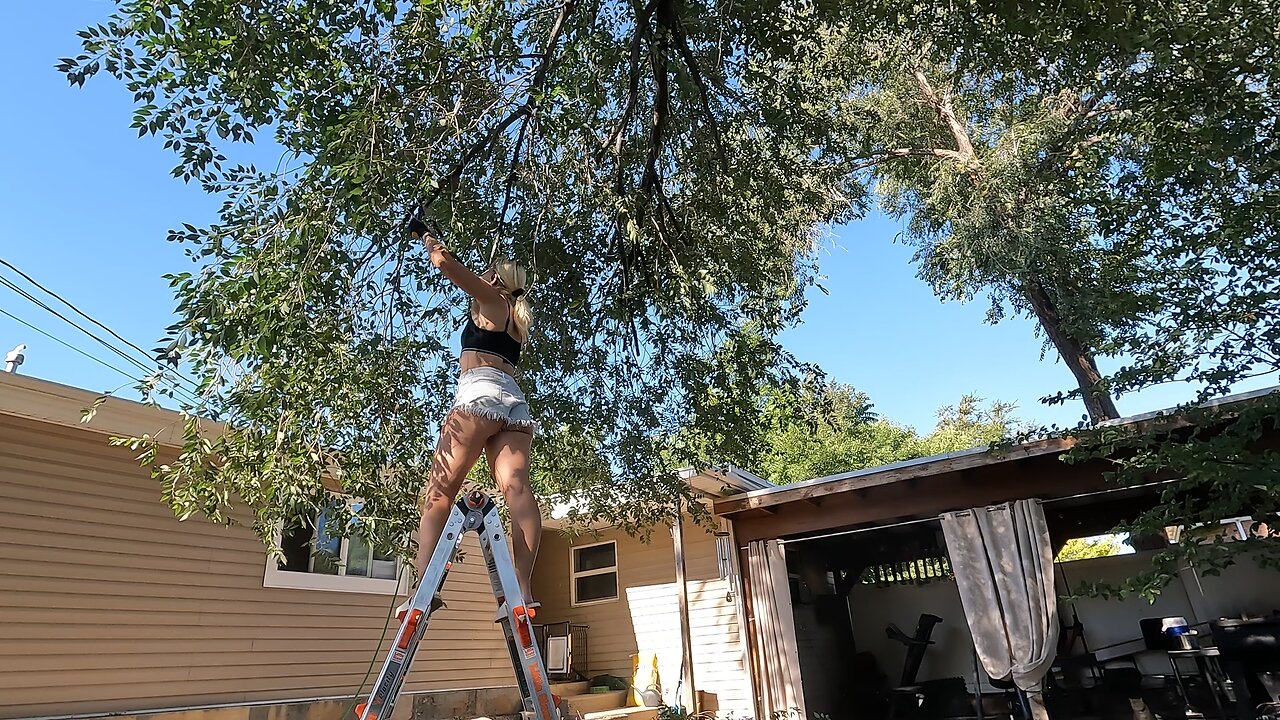 Trimming the Tree... Again