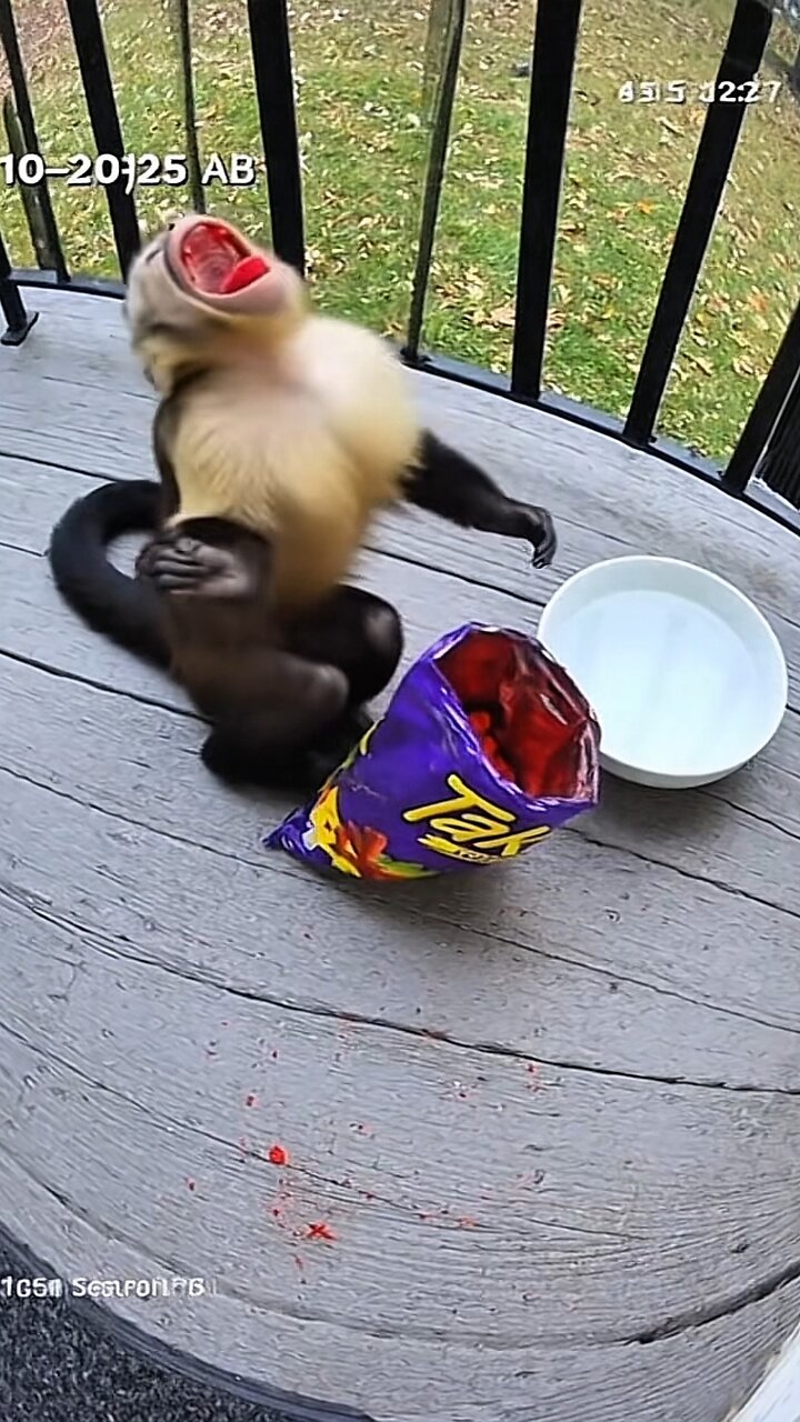 Funny Halloween Moments