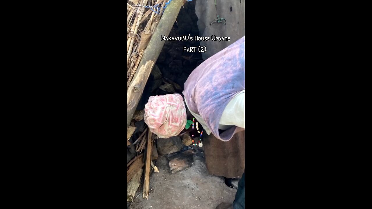 NAKAVUBUs HOUSE update