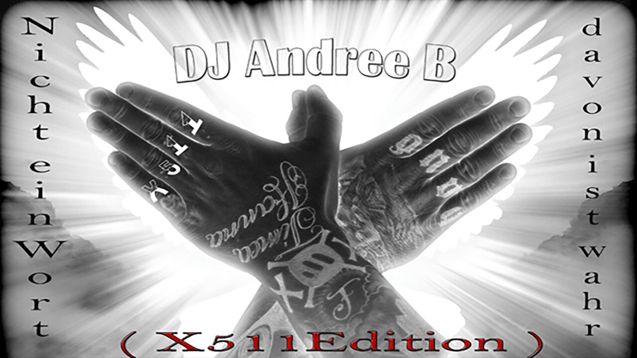 ๐ DJ Andree B โ Nicht ein Wort davon ist wahr