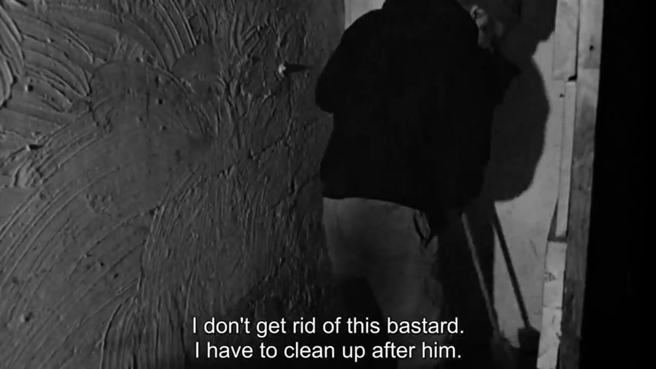Dark Days