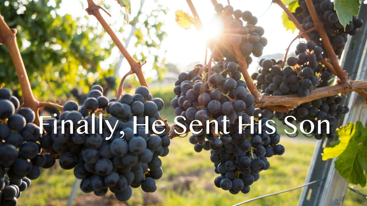 Mathew Rumble Finally He Sent His Son - Matthew 21:33-43 - 20th Sunday after ...