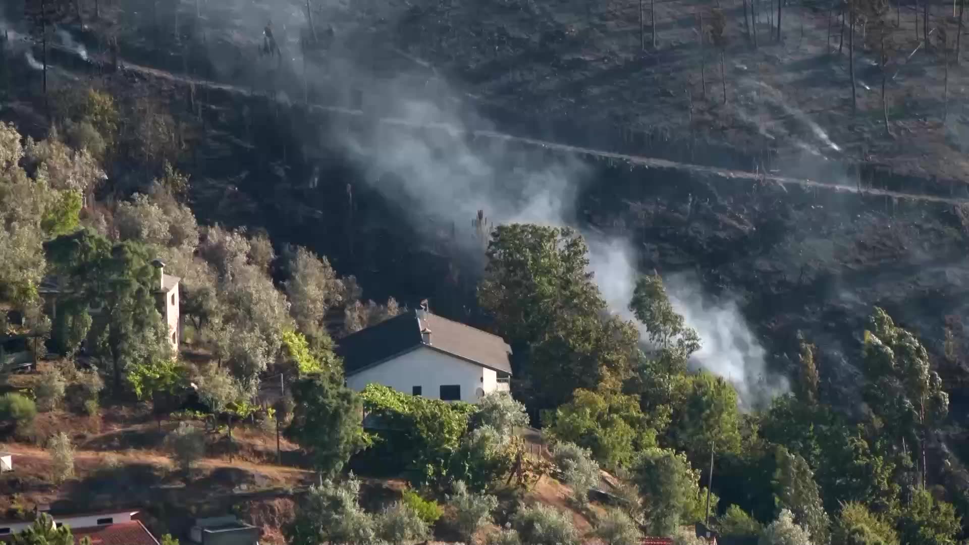 Wildfire rages in Portugals Arouca region