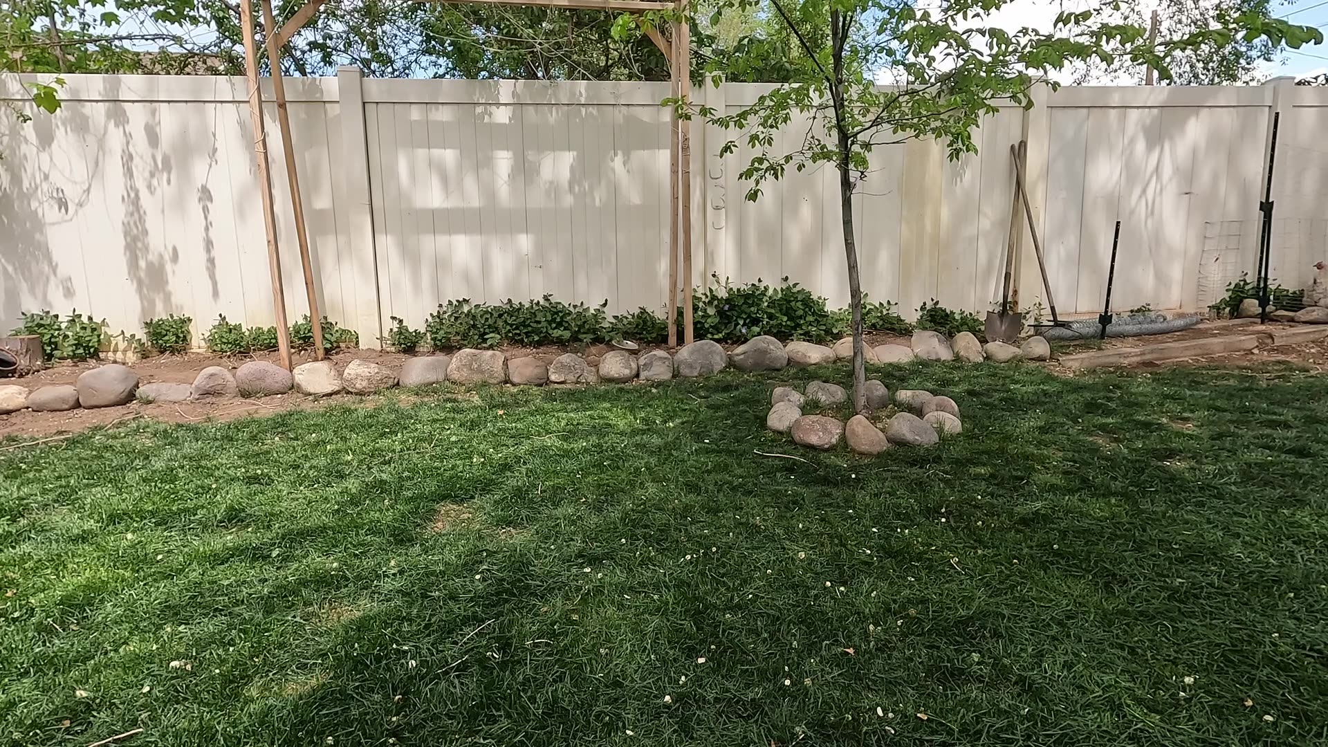 Lawn Care