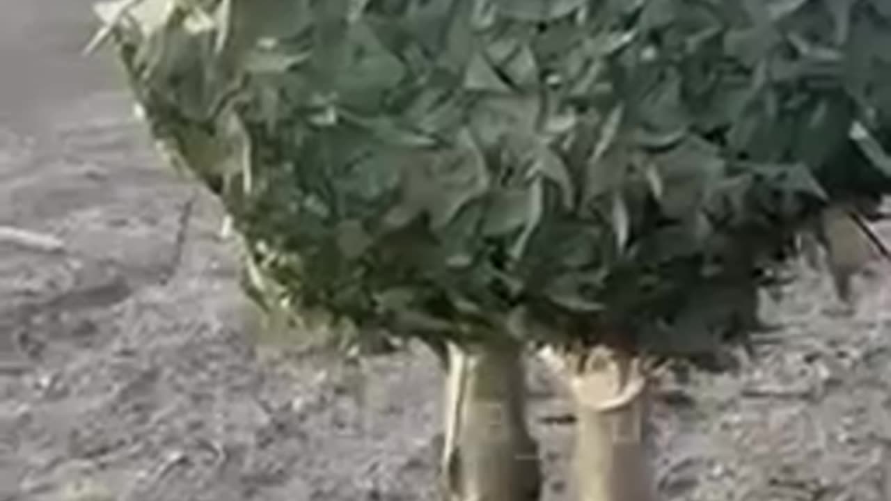 New Russian technology π³