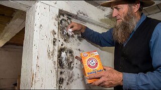 How Amish Reduce HUMIDITY and Remove MOLD Forever (Video)