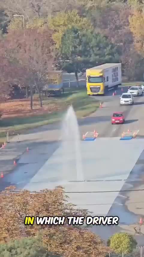 If drivers fail this test in Sweden they will not get a license