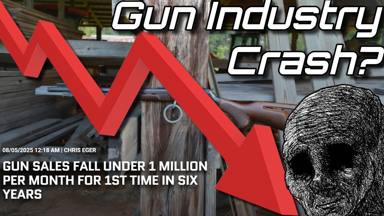 Can The Gun Industry Be Fixed?