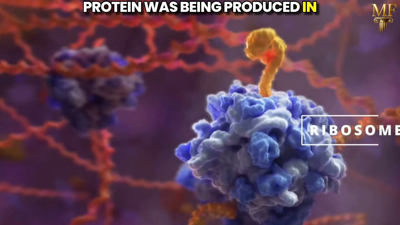 ⚡Multiple Studies show mRNA vax causes SEVERE brain damage & mental health