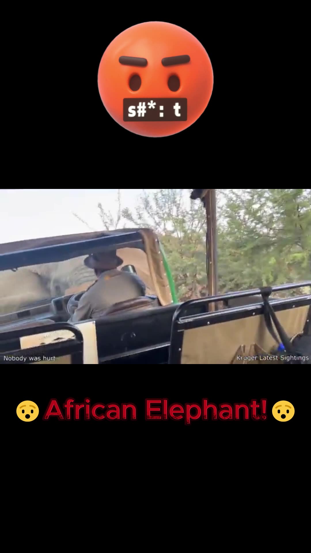 🚨 ENRAGED ELEPHANT FLIPS SAFARI VAN LIKE A TOY! 😱🐘💥