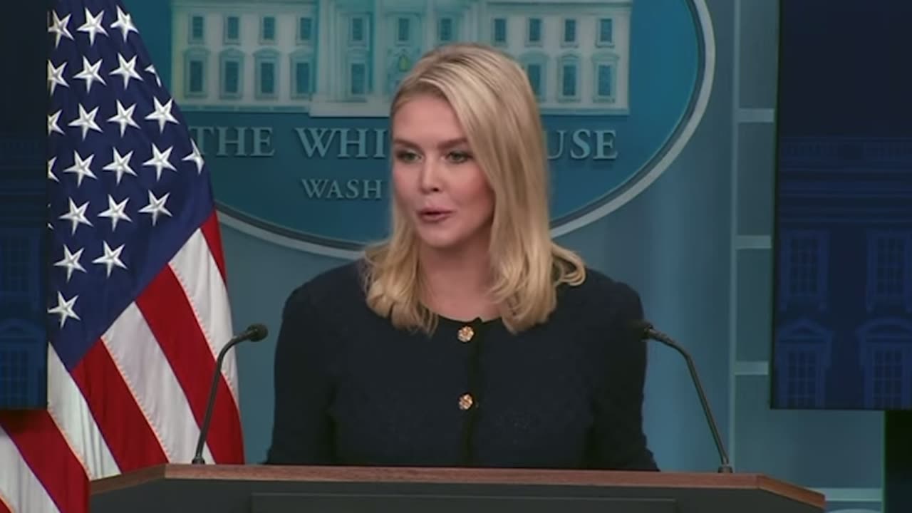 Karoline Leavitt Responds To Musk’s Big Beautiful Bill Criticism