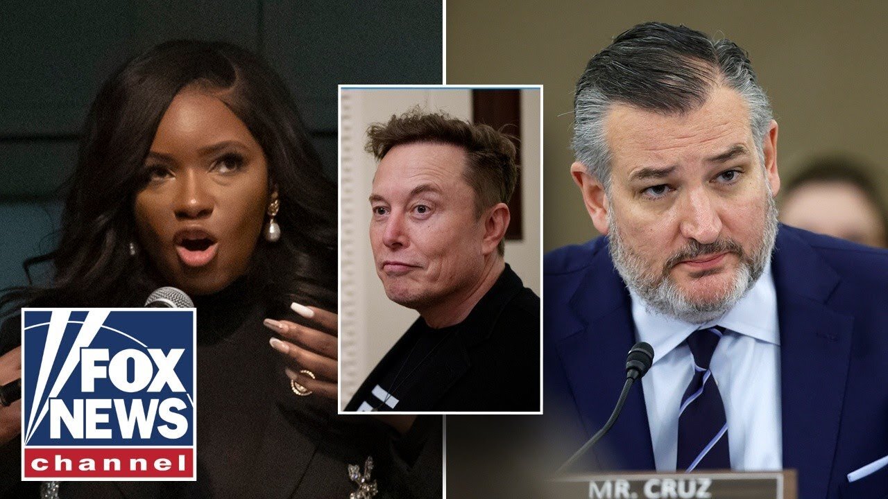 Dem roasted for attacking Musk goes after Ted Cruz: Knocked over the head!