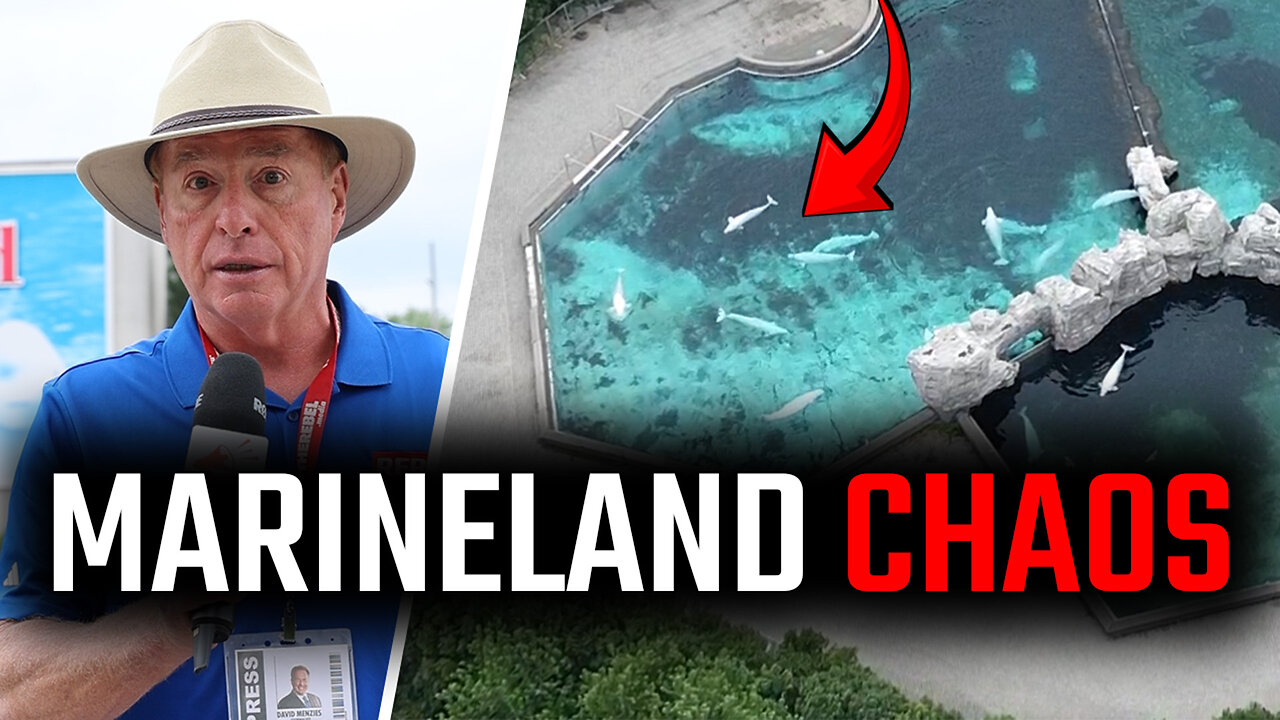 Everyone loves Marineland? Not so much these days…