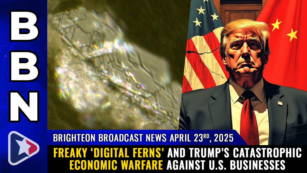 BBN, Apr 23, 2025 – Freaky ‘digital ferns’ and Trump’s catastrophic economic warfare against U.S...