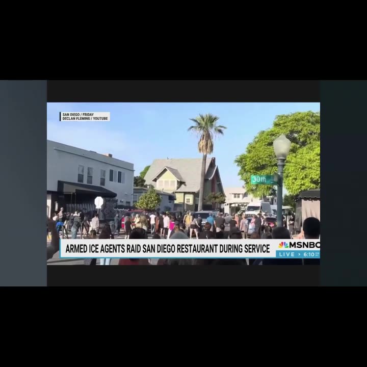 Maddow: Its Bananas— Trumps HSI In Full Battle Rattle To Arrest Busboys & Waiters And Stuff