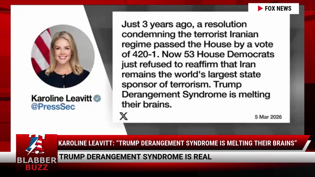 Karoline Leavitt: “Trump Derangement Syndrome Is Melting Their Brains”