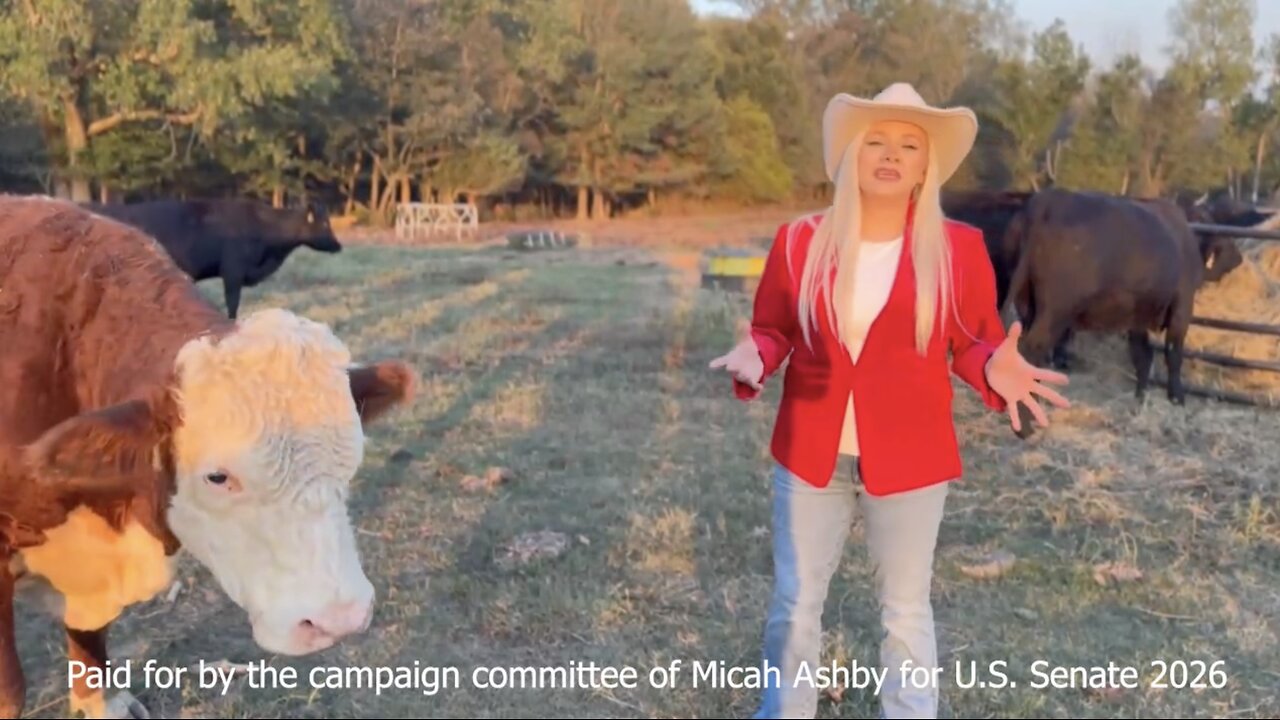 @MicahAshbyUSSenate:I will primary Tom Cotton in the Republican Party in March 2026