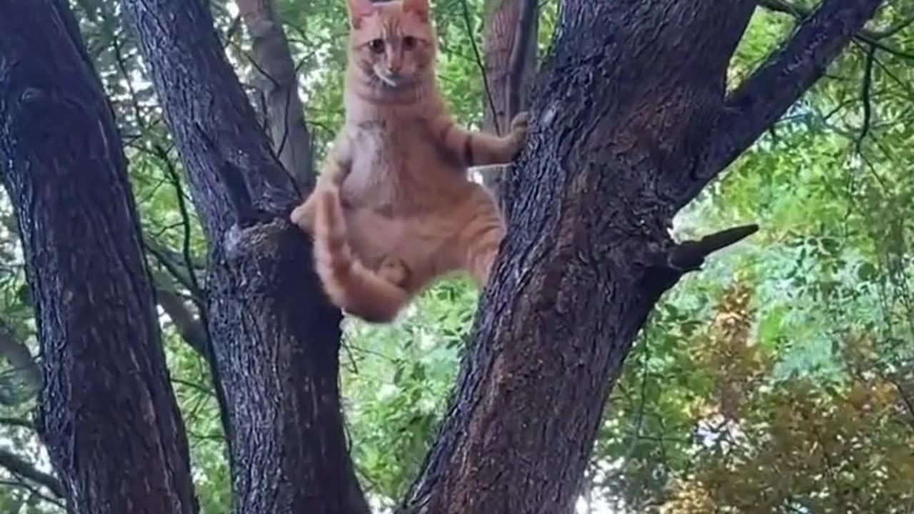 What's going on there?...