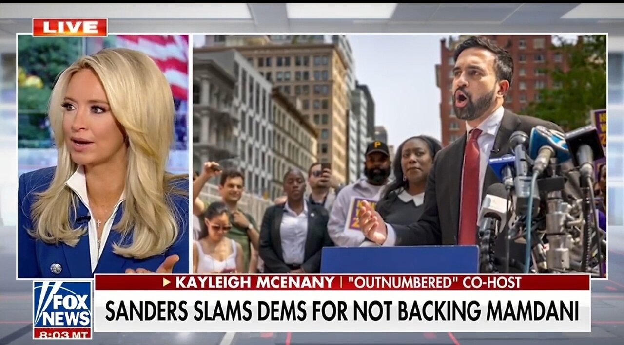 Kayleigh McEnany: Mamdani Doesnt Translate Beyond NYC