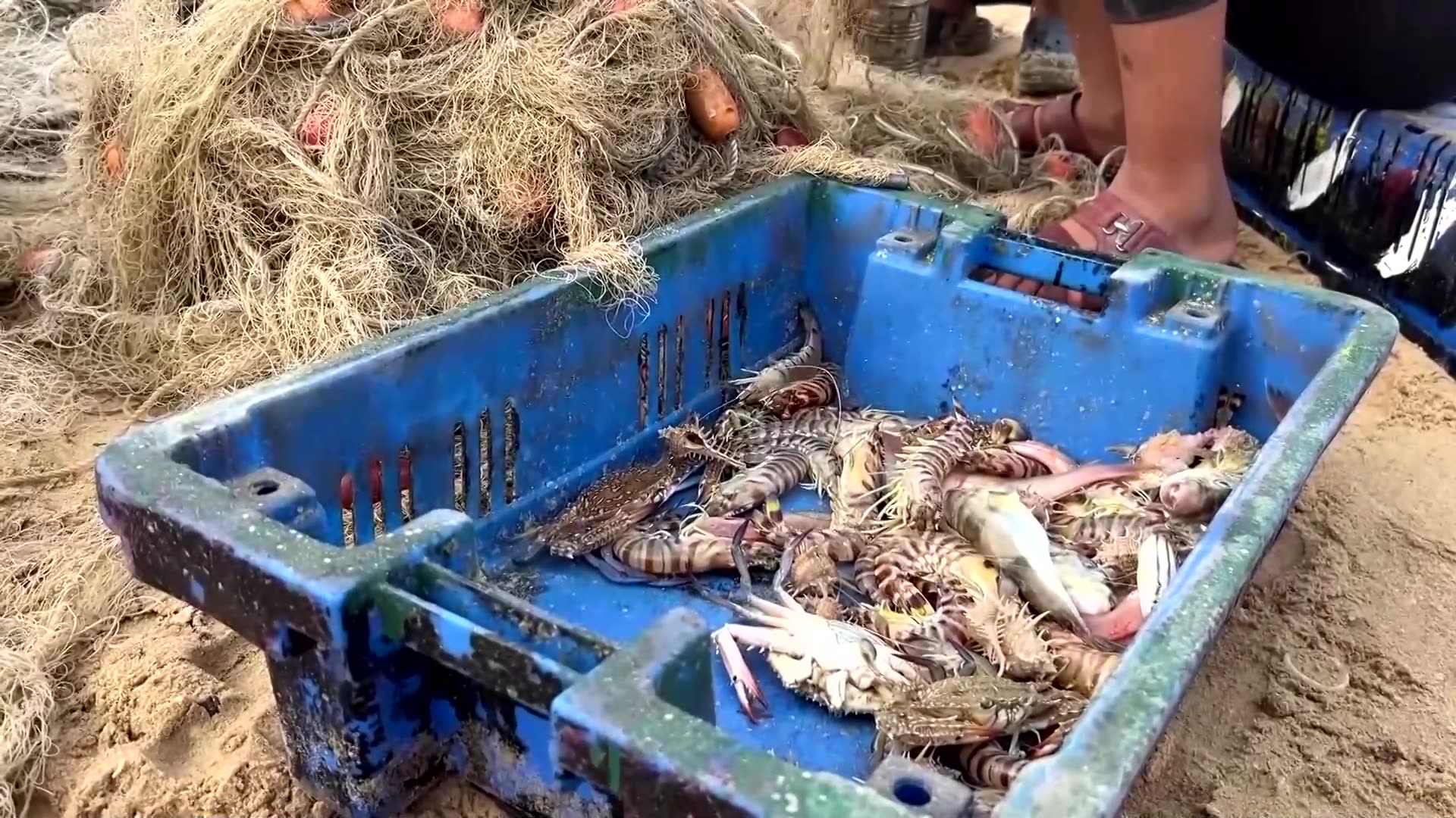 Gazas fishermen struggle with ongoing restrictions, high prices
