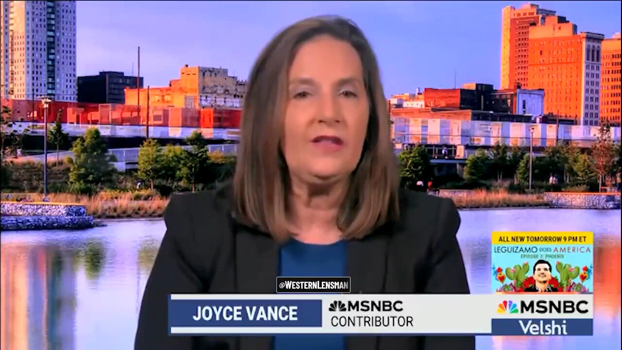 MSNBC Lawyer: Illegal Aliens Might Exercise Their Right Of Self-Defense For ICE Kidnappings
