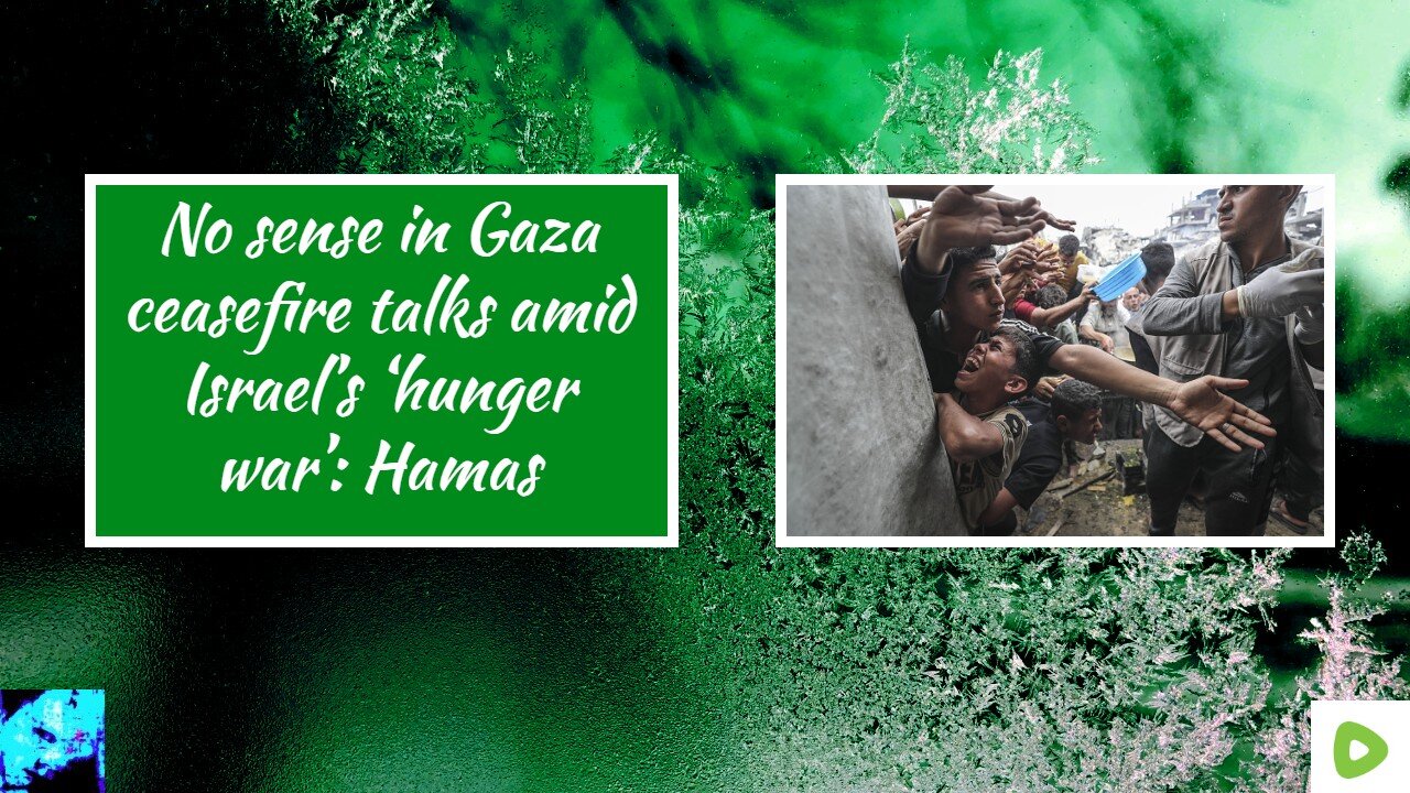 No sense in Gaza ceasefire talks amid Israel’s ‘hunger war’: Hamas