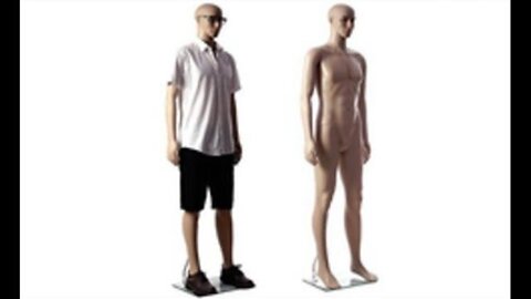[Mar 14, 2020] Man or Mannequin? [Jake Gibson] [williamgenske]